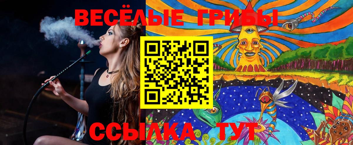Галлюциногенные грибы Psilocybe Клинцы