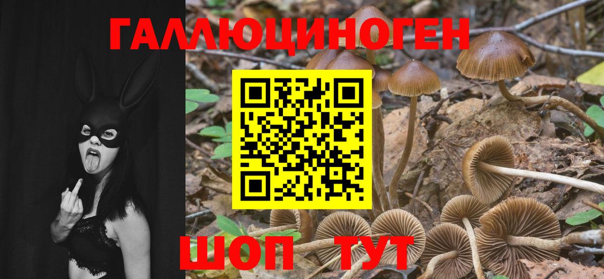 Клинцы  Псилоцибиновые грибы Cubensis  Вход с VPN  Псилоцибиновые грибы Magic Shrooms 
